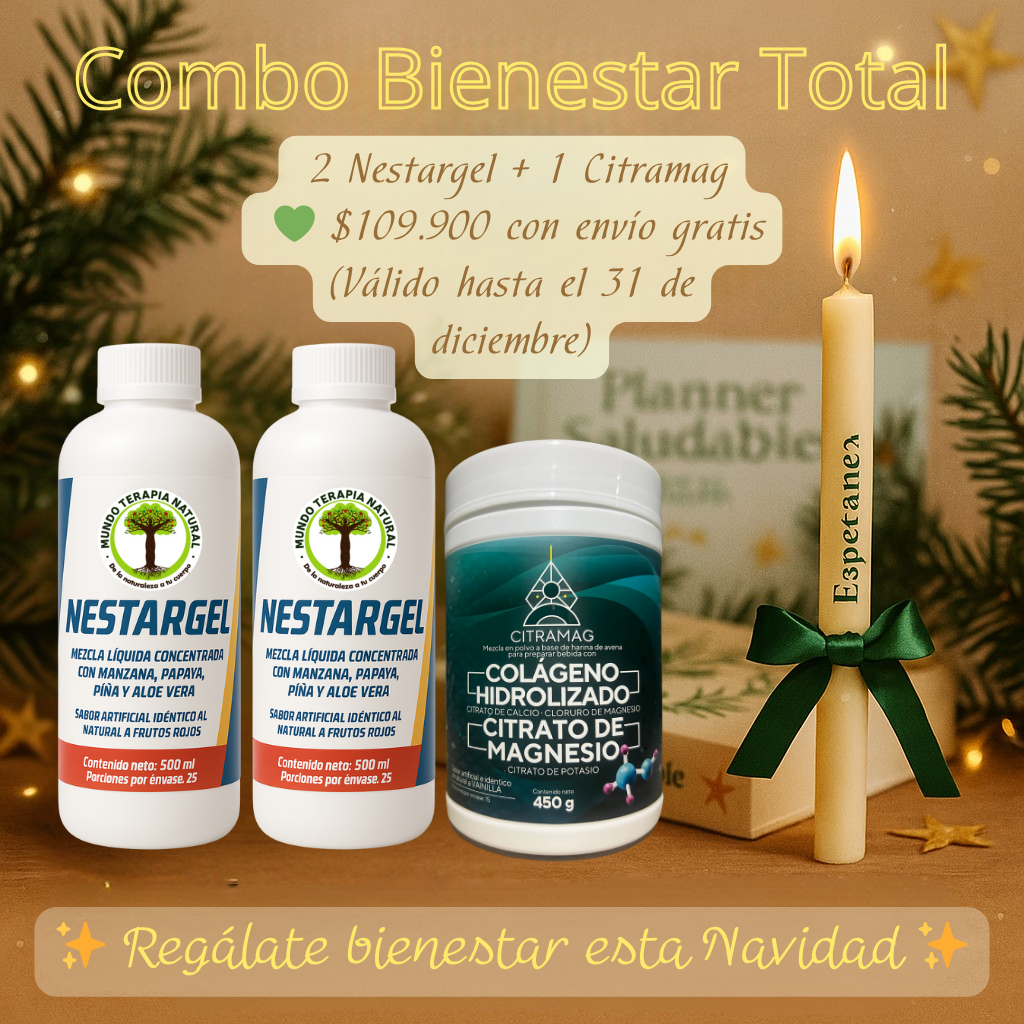 🎄 1️⃣ Combo Digestivo Navideño – 2 Nestargel + 1 Citramag